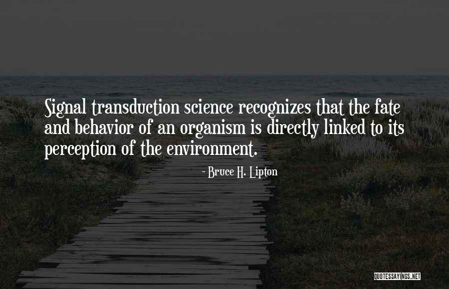 Perception And Life Quotes By Bruce H. Lipton Perception And Life Quotes By Bruce H. Lipton