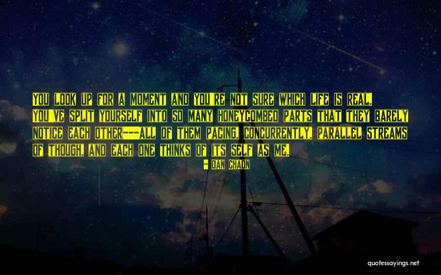 Perception And Life Quotes By Dan Chaon Perception And Life Quotes By Dan Chaon