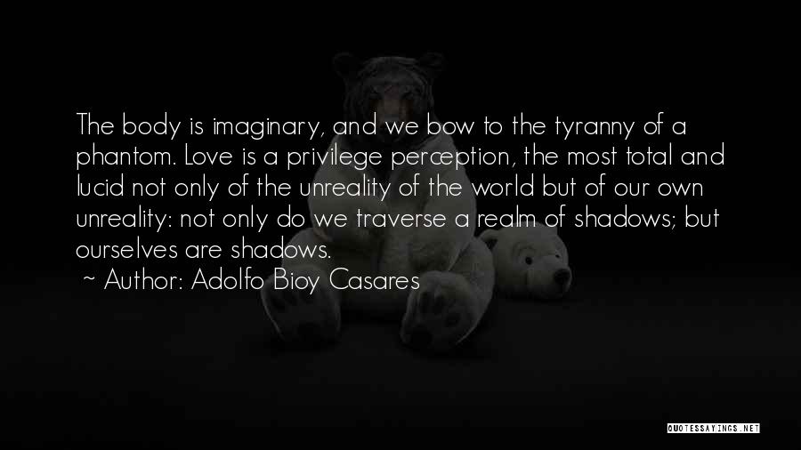 Perception And Love Quotes By Adolfo Bioy Casares