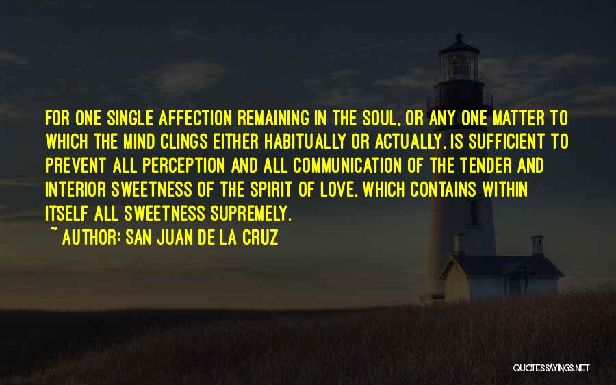 Perception And Love Quotes By San Juan De La Cruz