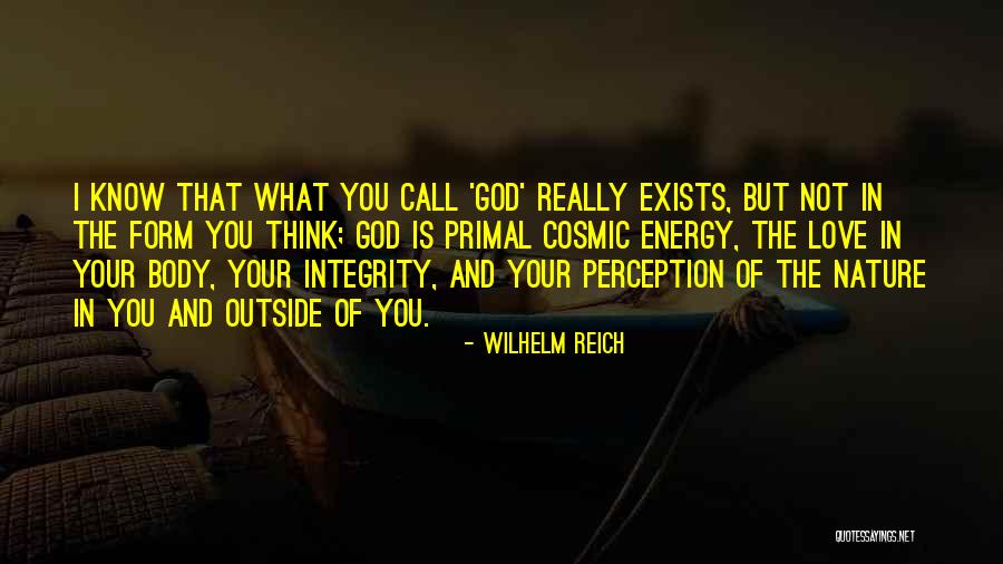 Perception And Love Quotes By Wilhelm Reich