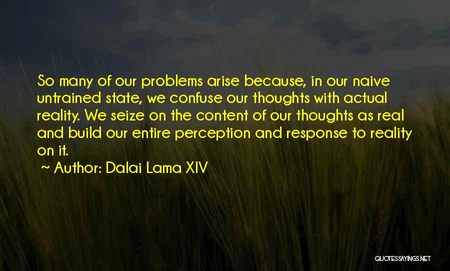 Perception And Reality Quotes By Dalai Lama XIV