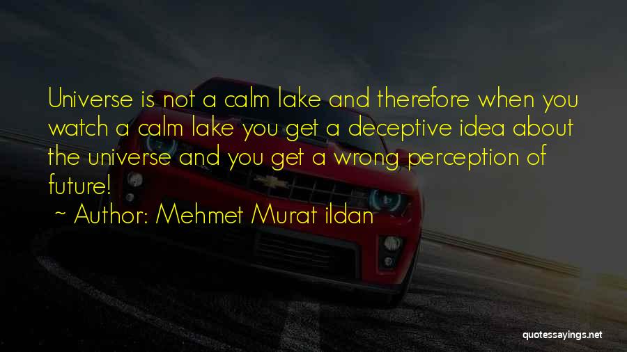 Perception And Reality Quotes By Mehmet Murat Ildan