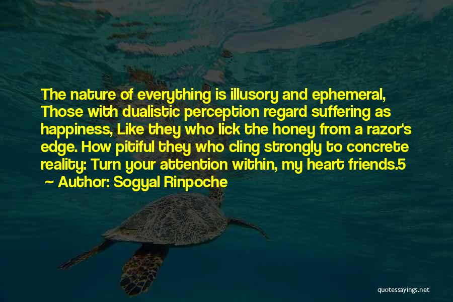 Perception And Reality Quotes By Sogyal Rinpoche