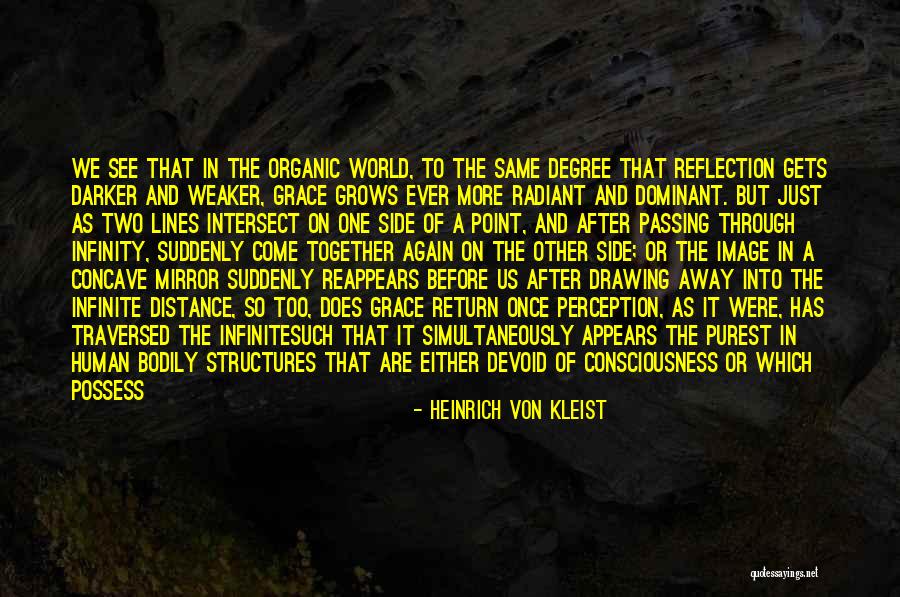Perception And Reflection Quotes By Heinrich Von Kleist Perception And Reflection Quotes By Heinrich Von Kleist