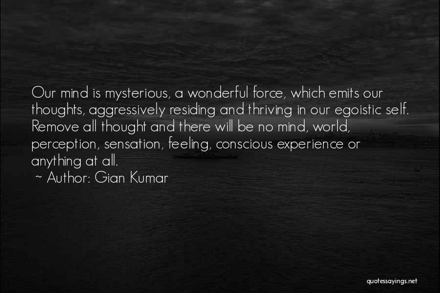 Perception And Sensation Quotes By Gian Kumar