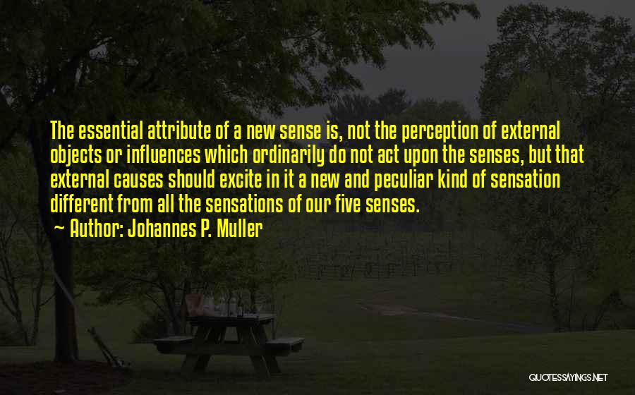 Perception And Sensation Quotes By Johannes P. Muller