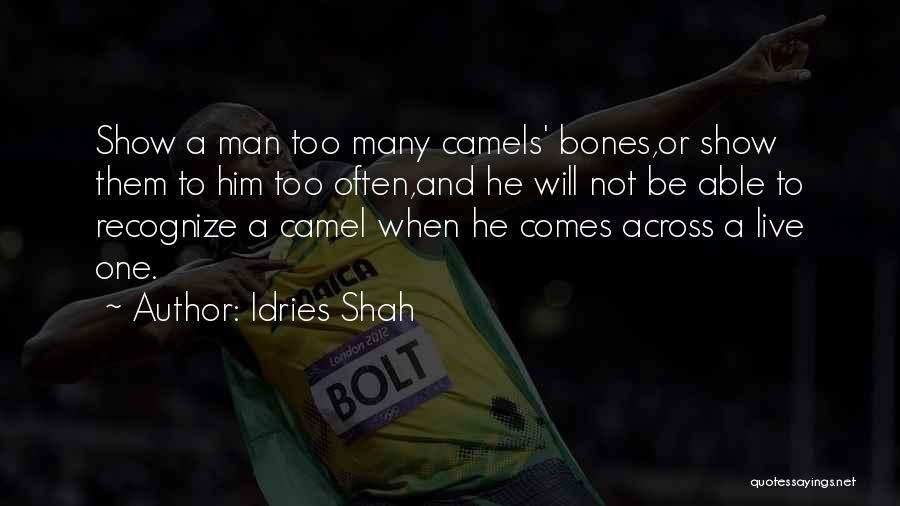 Perception And Truth Quotes By Idries Shah