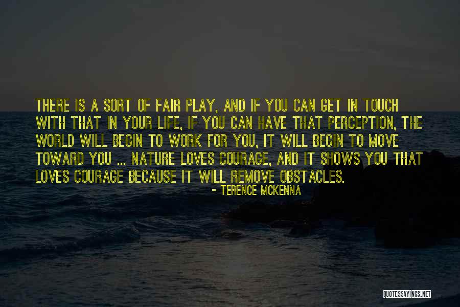 Perception At Work Quotes By Terence McKenna