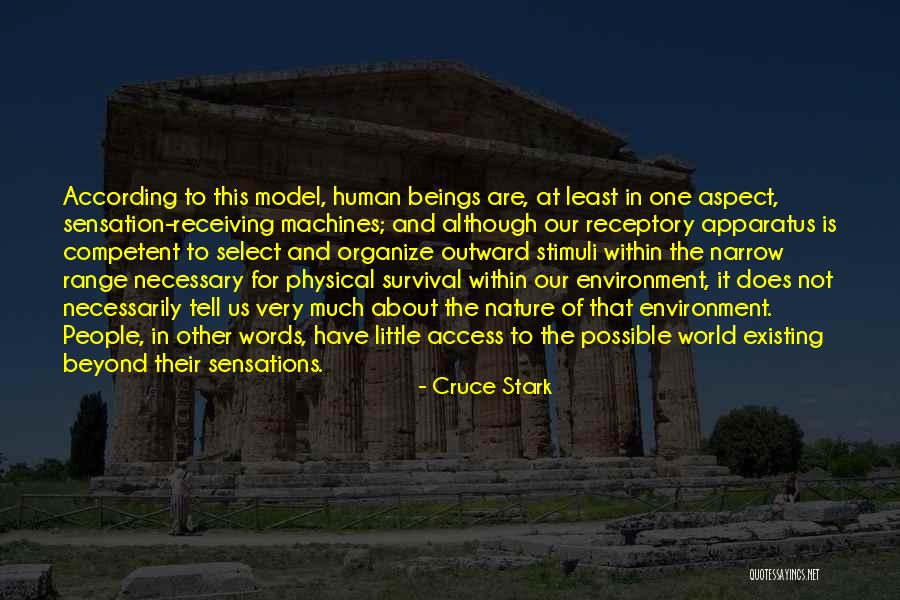 Perception Is Not Reality Quotes By Cruce Stark Perception Is Not Reality Quotes By Cruce Stark