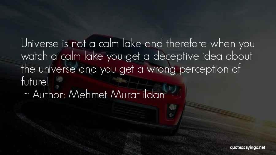 Perception Is Reality Quotes By Mehmet Murat Ildan