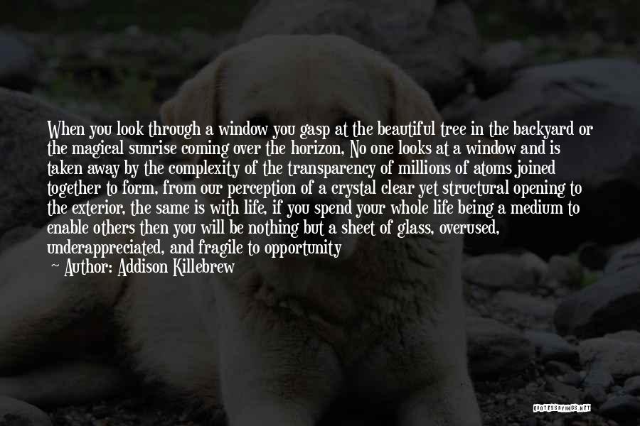 Perception Life Quotes By Addison Killebrew
