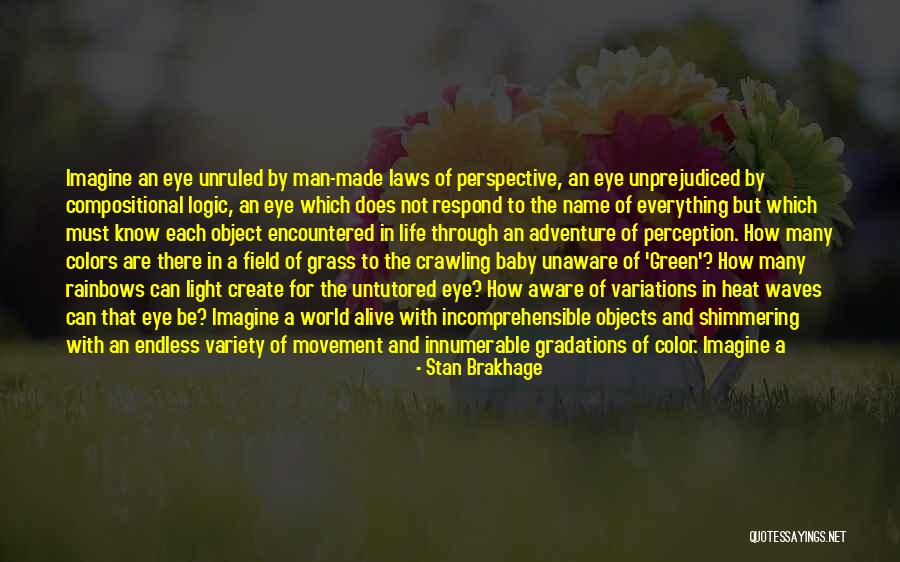 Perception Of A Man Quotes By Stan Brakhage Perception Of A Man Quotes By Stan Brakhage