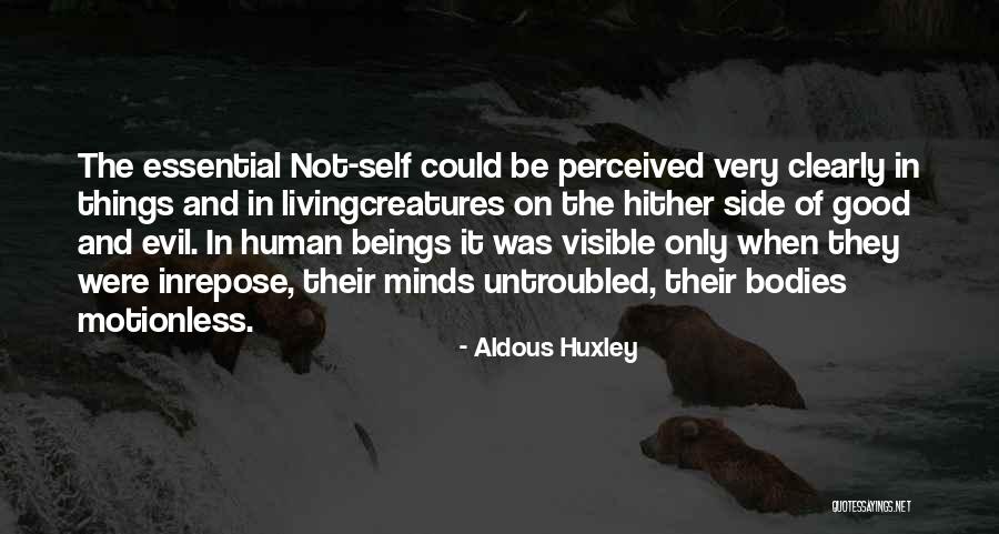 Perception Of Self Quotes By Aldous Huxley