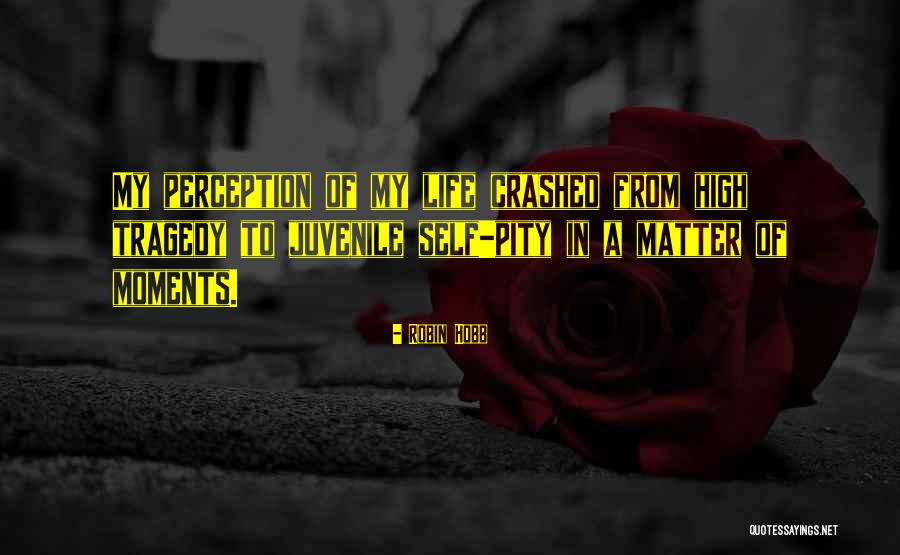 Perception Of Self Quotes By Robin Hobb Perception Of Self Quotes By Robin Hobb