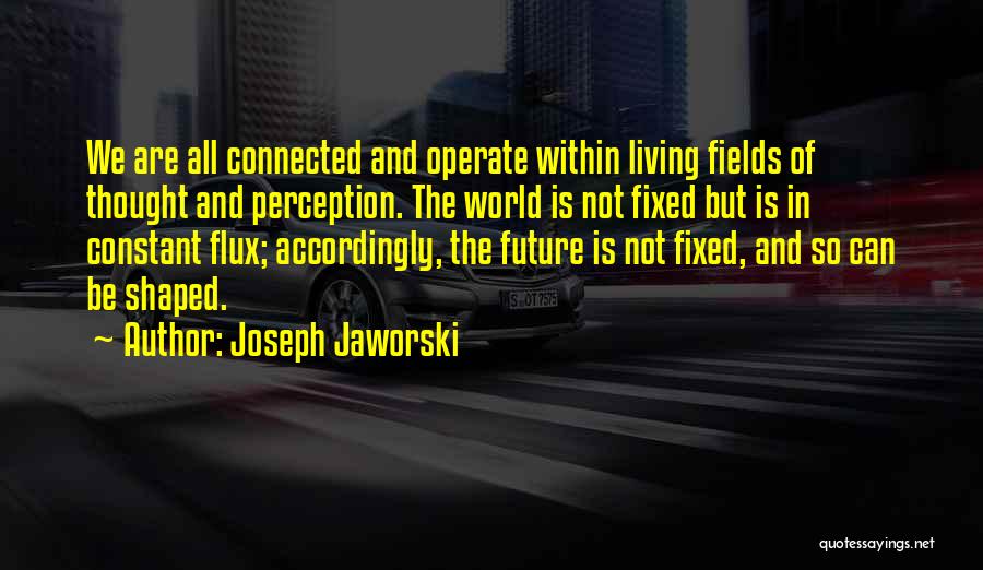 Perception Of The World Quotes By Joseph Jaworski