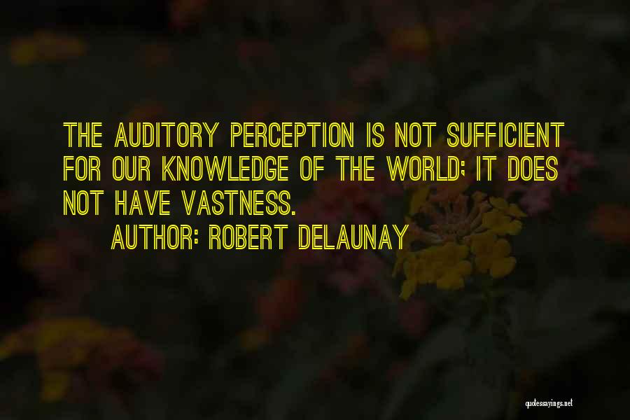 Perception Of The World Quotes By Robert Delaunay