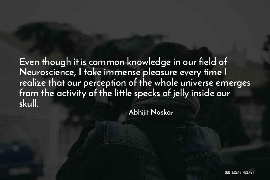 Perception Of Truth Quotes By Abhijit Naskar