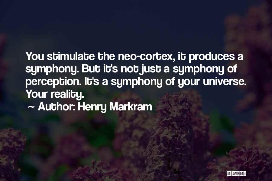 Perception Reality Quotes By Henry Markram
