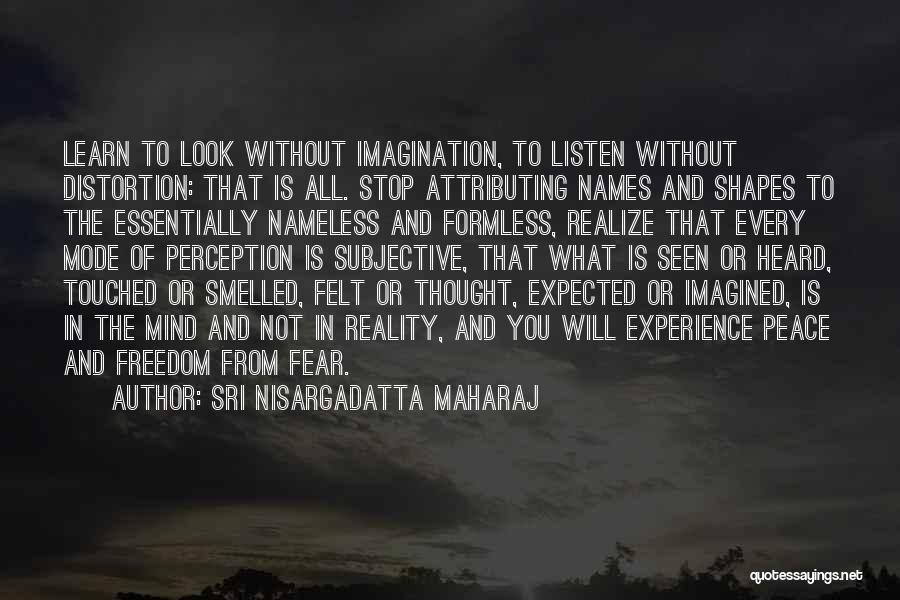 Perception Shapes Reality Quotes By Sri Nisargadatta Maharaj