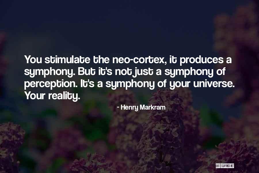 Perception Vs Reality Quotes By Henry Markram Perception Vs Reality Quotes By Henry Markram