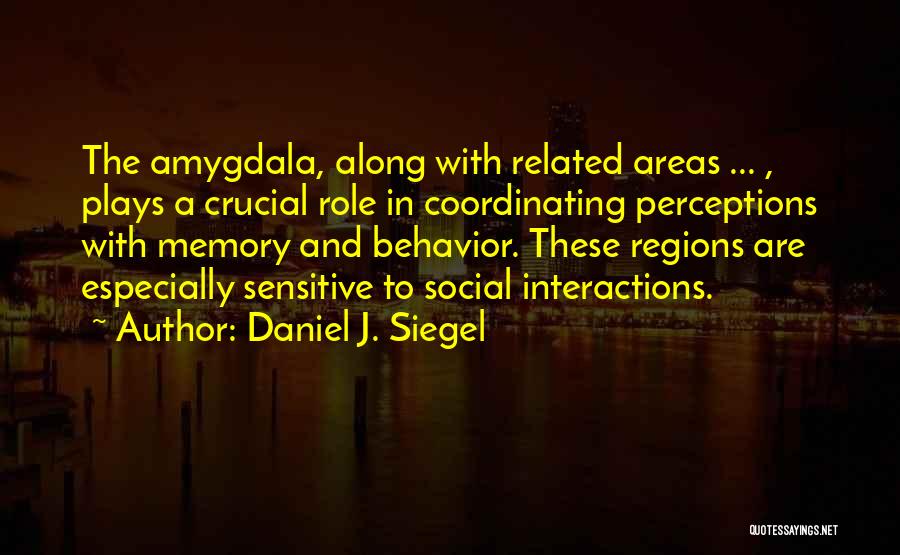 Perceptions Quotes By Daniel J. Siegel