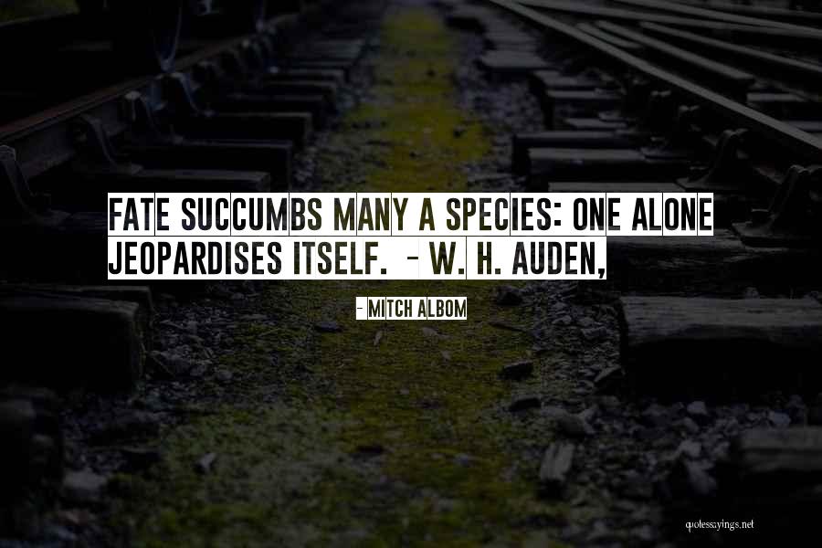 Percherons Horses Quotes By Mitch Albom Percherons Horses Quotes By Mitch Albom