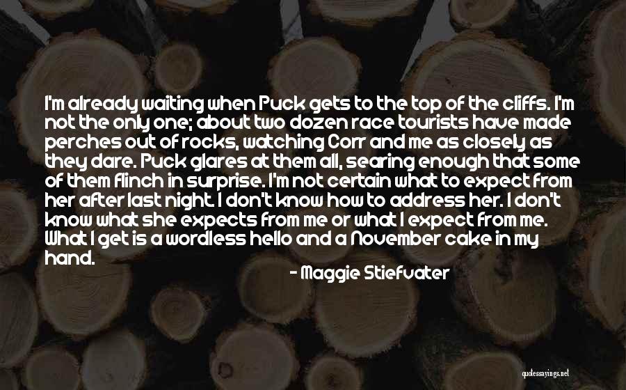 Perches Quotes By Maggie Stiefvater Perches Quotes By Maggie Stiefvater