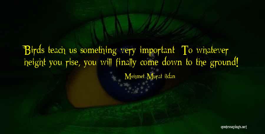 Perchette Quotes By Mehmet Murat Ildan Perchette Quotes By Mehmet Murat Ildan
