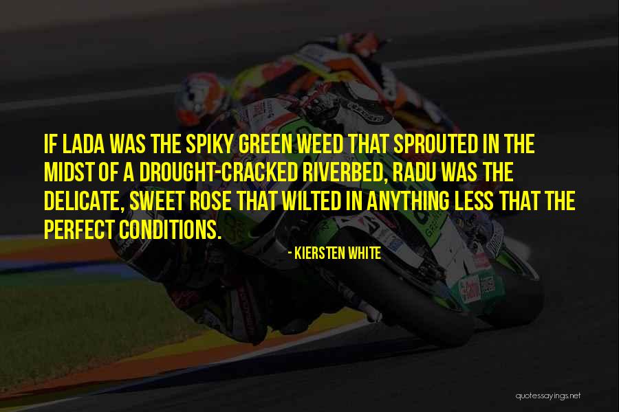 Percorsi Stradali Quotes By Kiersten White Percorsi Stradali Quotes By Kiersten White