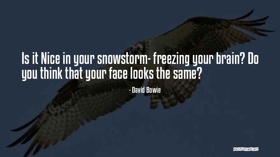 Perdante Quotes By David Bowie Perdante Quotes By David Bowie