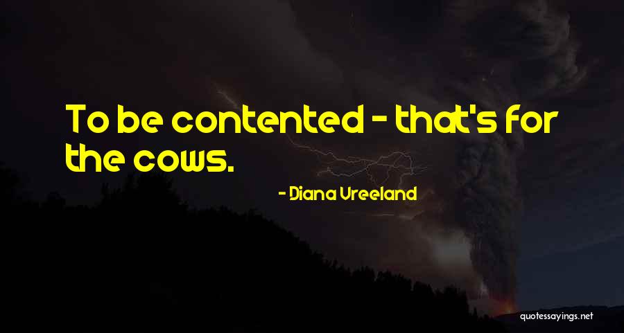 Perdones Para Quotes By Diana Vreeland Perdones Para Quotes By Diana Vreeland