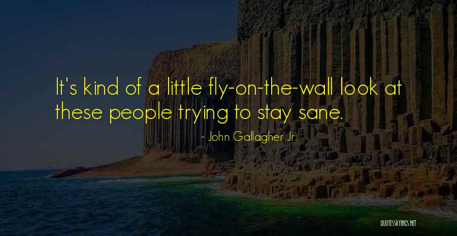 Perdriel Centenario Quotes By John Gallagher Jr. Perdriel Centenario Quotes By John Gallagher Jr.