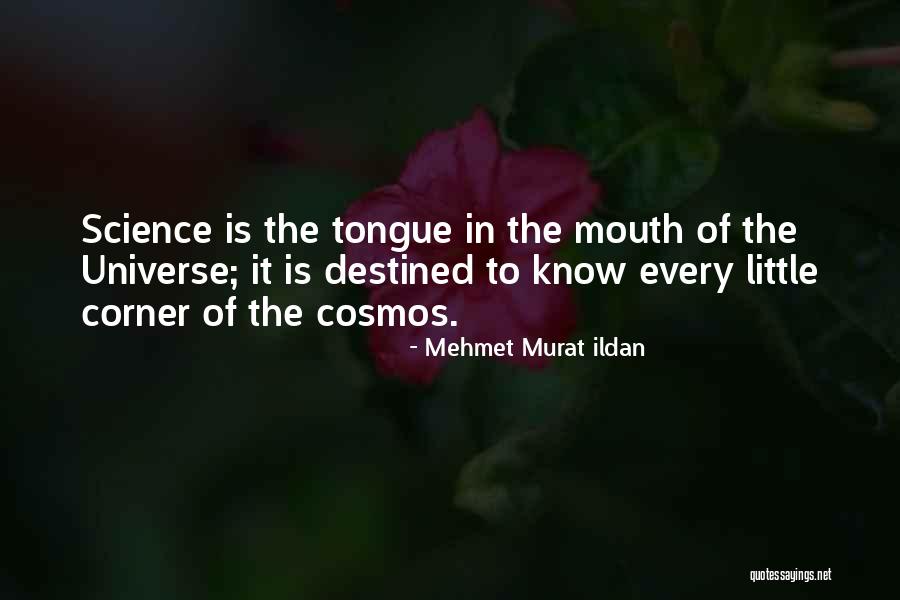 Perdrix Aux Quotes By Mehmet Murat Ildan Perdrix Aux Quotes By Mehmet Murat Ildan