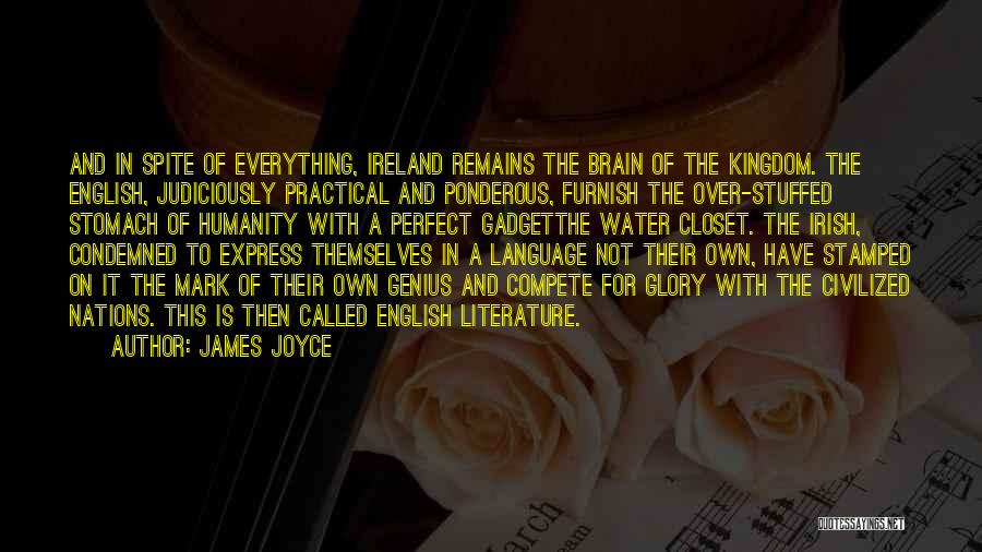 Perduraram Quotes By James Joyce