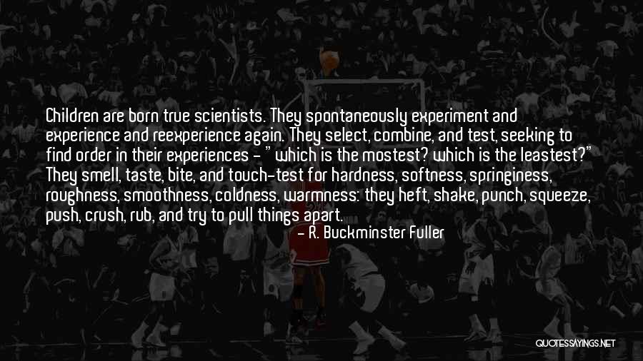 Perego Ride On Quotes By R. Buckminster Fuller Perego Ride On Quotes By R. Buckminster Fuller