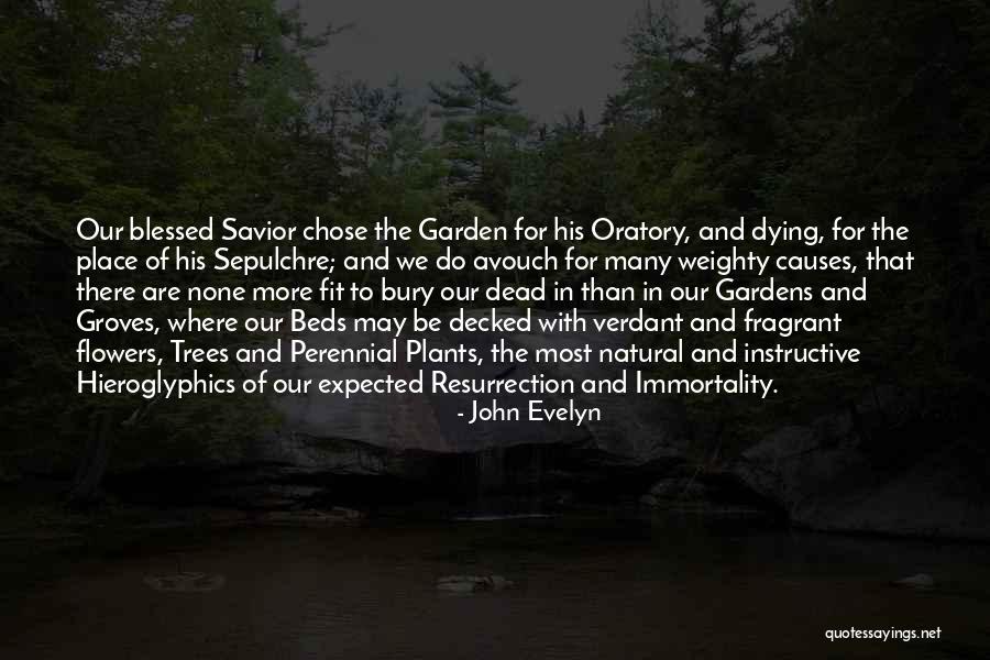 Perennial Flower Quotes By John Evelyn