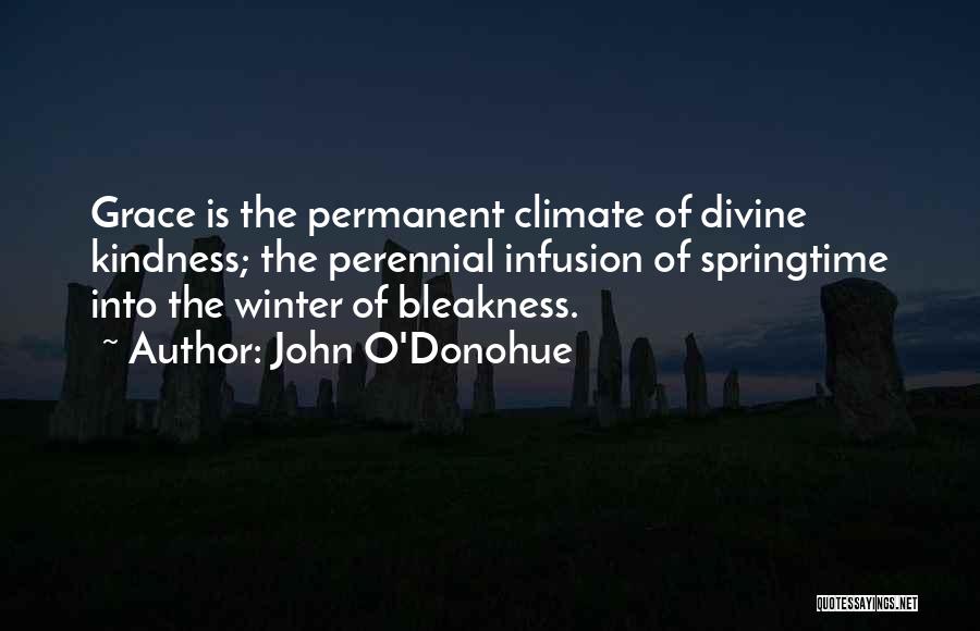 Perennial Quotes By John O'Donohue