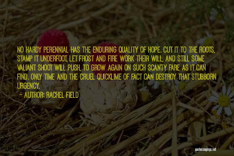 Perennial Quotes By Rachel Field