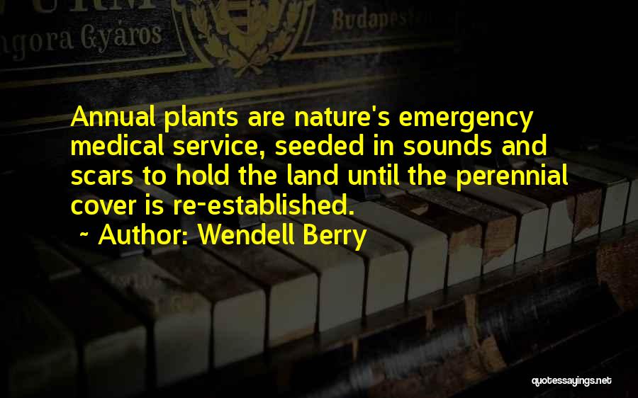 Perennial Quotes By Wendell Berry