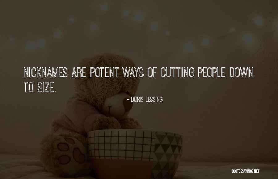 Peretz Rodman Quotes By Doris Lessing Peretz Rodman Quotes By Doris Lessing