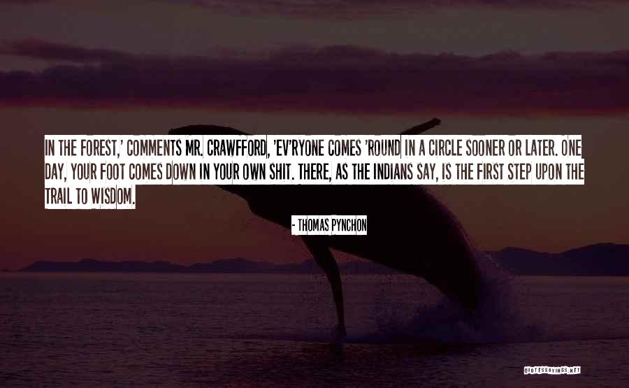 Perfeccionismo Psicologia Quotes By Thomas Pynchon Perfeccionismo Psicologia Quotes By Thomas Pynchon