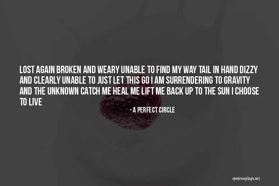 Perfect Catch Quotes By A Perfect Circle