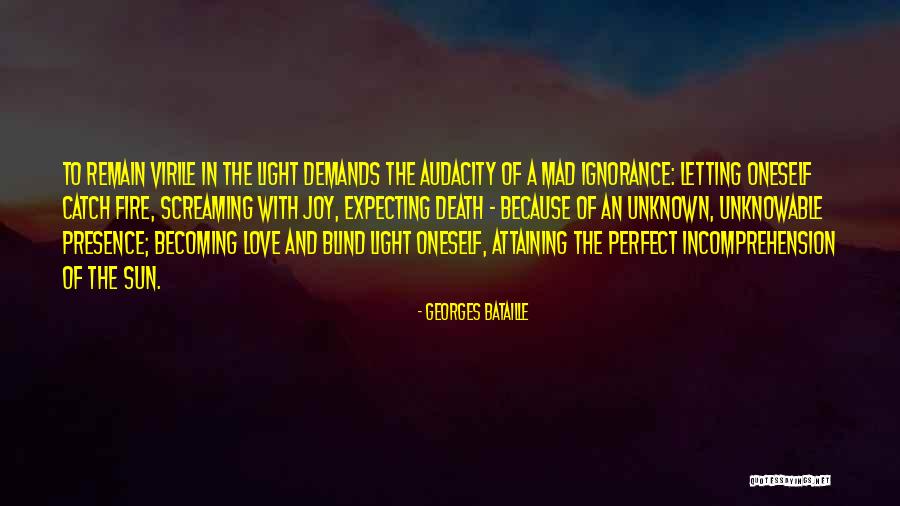 Perfect Catch Quotes By Georges Bataille Perfect Catch Quotes By Georges Bataille