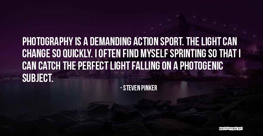 Perfect Catch Quotes By Steven Pinker Perfect Catch Quotes By Steven Pinker