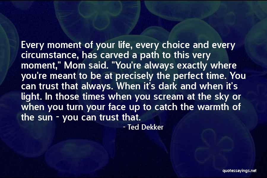 Perfect Catch Quotes By Ted Dekker