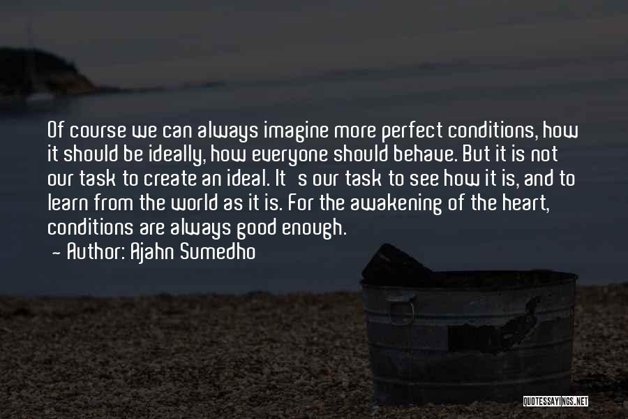 Perfect Conditions Quotes By Ajahn Sumedho