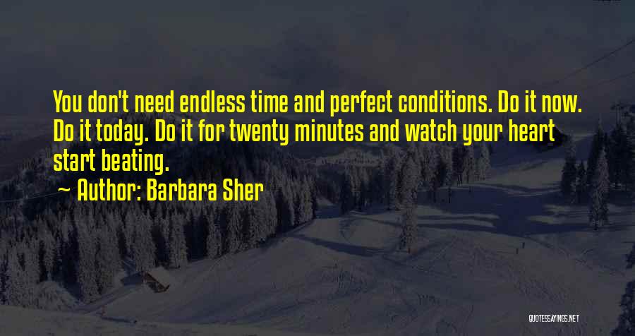 Perfect Conditions Quotes By Barbara Sher