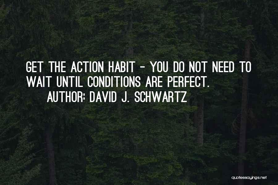 Perfect Conditions Quotes By David J. Schwartz