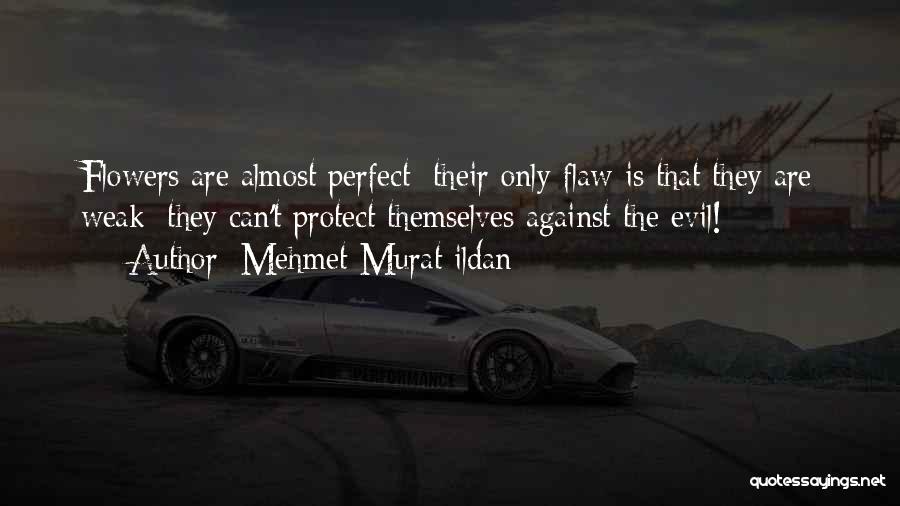 Perfect Flaw Quotes By Mehmet Murat Ildan